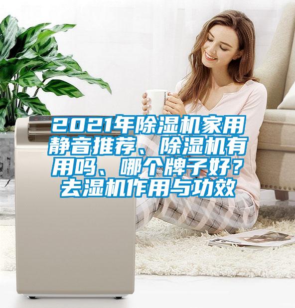 2021年除濕機家用靜音推薦、除濕機有用嗎、哪個牌子好？去濕機作用與功效