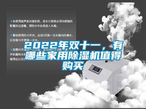 2022年雙十一，有哪些家用除濕機(jī)值得購買