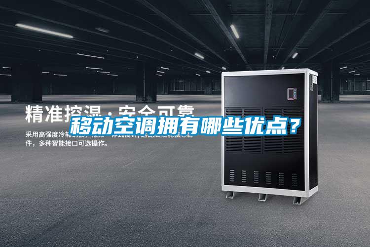 移動(dòng)空調(diào)擁有哪些優(yōu)點(diǎn)?