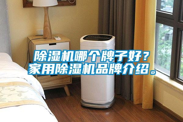除濕機(jī)哪個(gè)牌子好？家用除濕機(jī)品牌介紹。