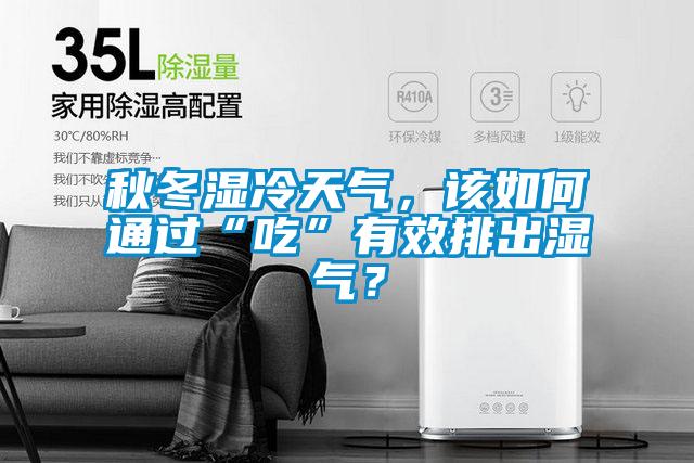秋冬濕冷天氣，該如何通過“吃”有效排出濕氣？