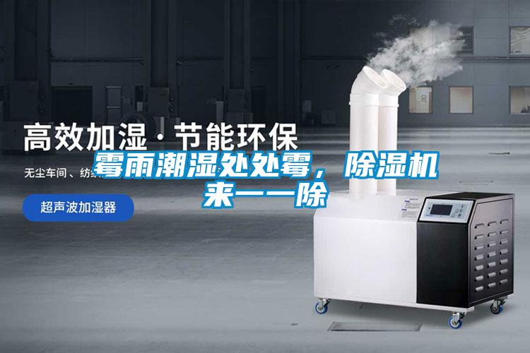 霉雨潮濕處處霉，除濕機(jī)來一一除
