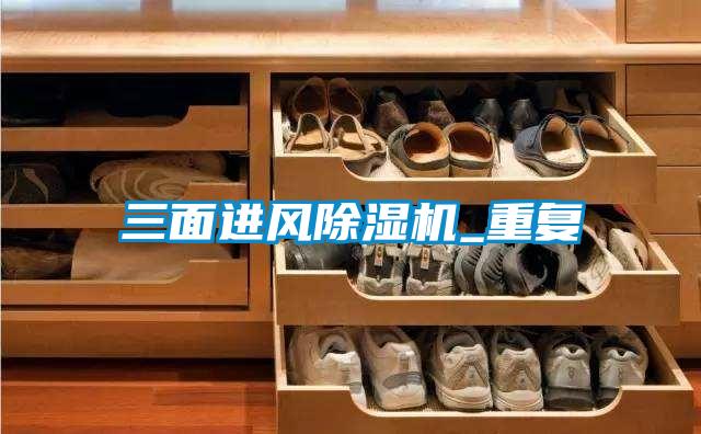 三面進風(fēng)除濕機_重復(fù)