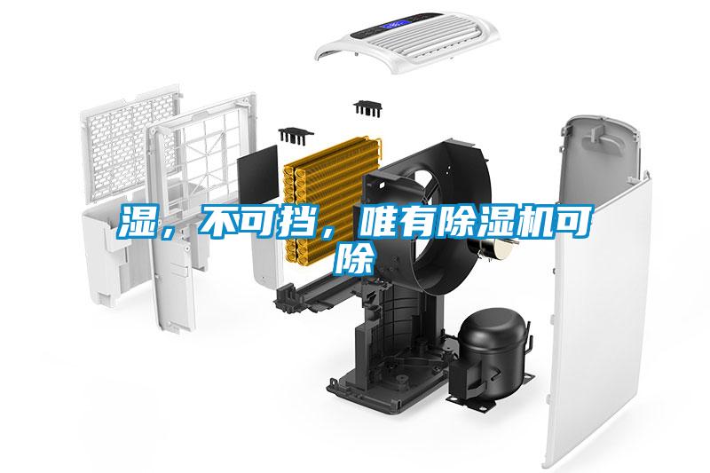 濕，不可擋，唯有除濕機(jī)可除