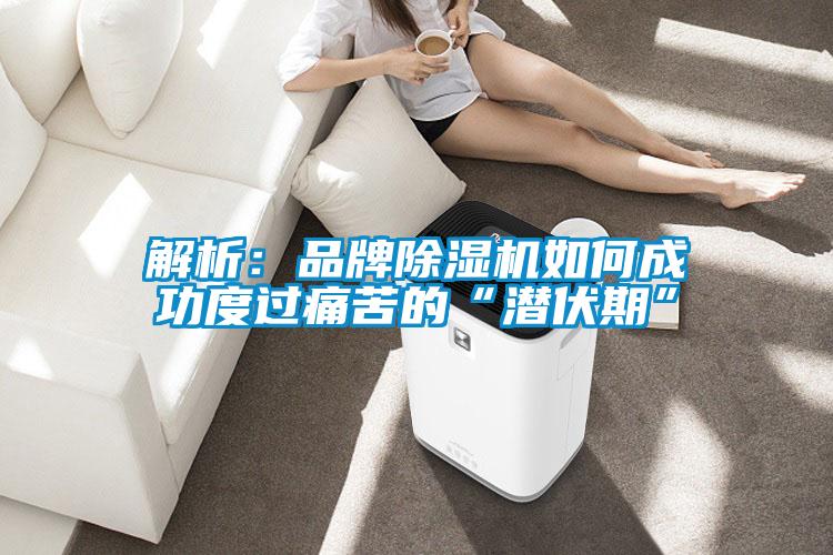 解析:品牌除濕機如何成功度過痛苦的“潛伏期”