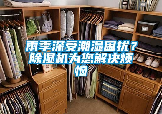 雨季深受潮濕困擾？除濕機(jī)為您解決煩惱