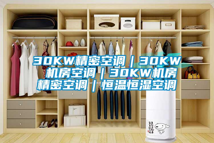 30KW精密空調(diào)|30KW 機房空調(diào)|30KW機房精密空調(diào)|恒溫恒濕空調(diào)