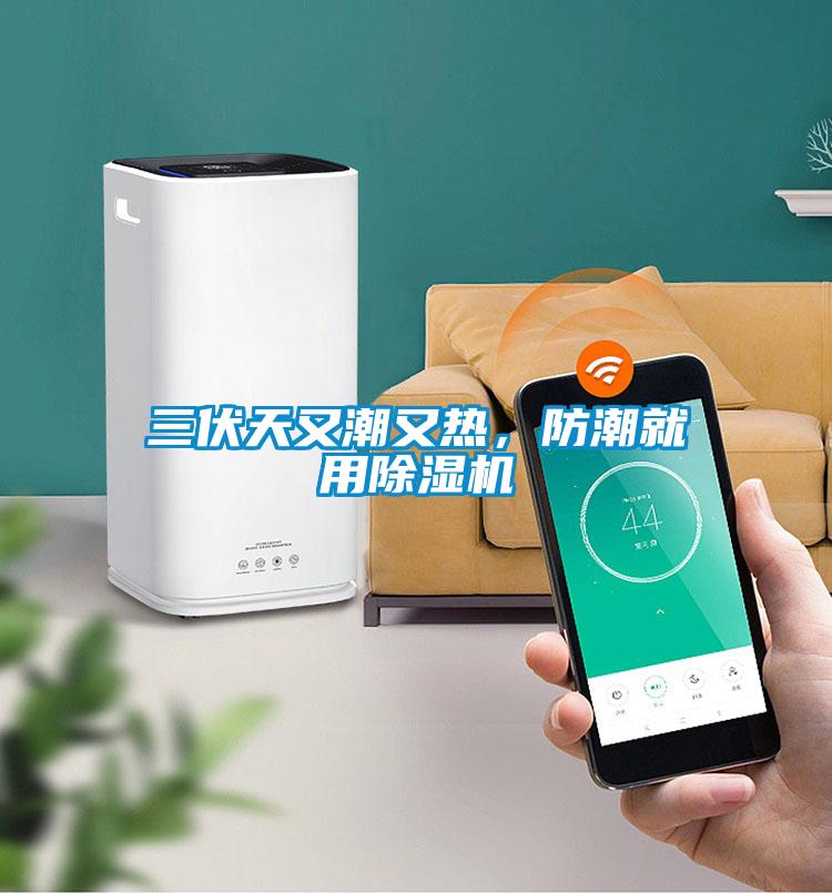 三伏天又潮又熱，防潮就用除濕機