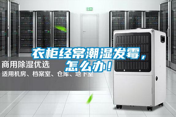 衣柜經(jīng)常潮濕發(fā)霉，怎么辦！
