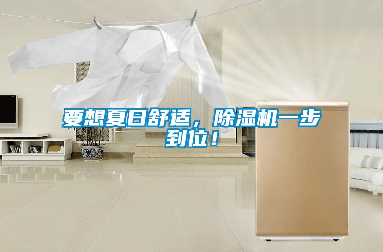 要想夏日舒適，除濕機(jī)一步到位！