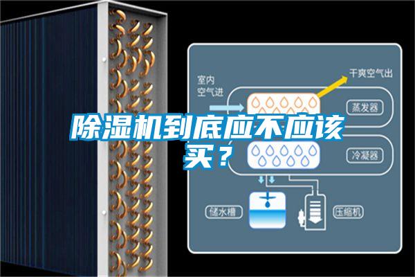 除濕機到底應不應該買？