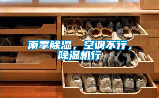 雨季除濕，空調(diào)不行，除濕機(jī)行