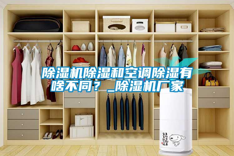 除濕機除濕和空調(diào)除濕有啥不同？_除濕機廠家