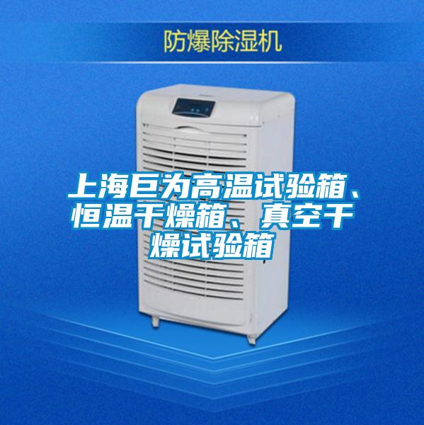 上海巨為高溫試驗(yàn)箱、恒溫干燥箱、真空干燥試驗(yàn)箱
