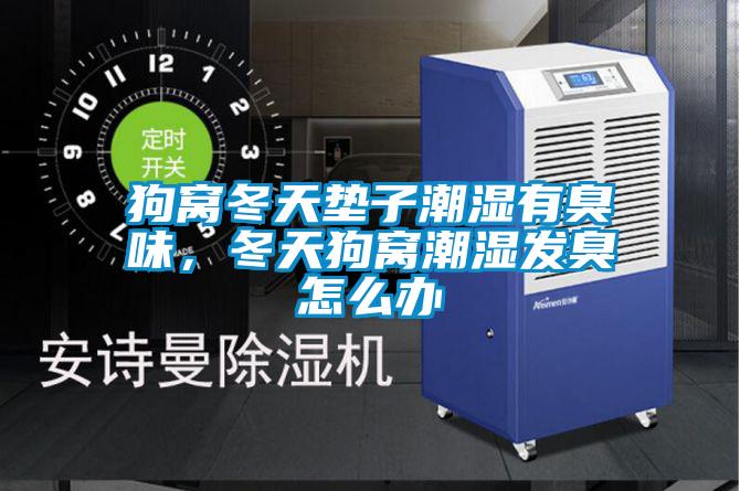 狗窩冬天墊子潮濕有臭味，冬天狗窩潮濕發(fā)臭怎么辦