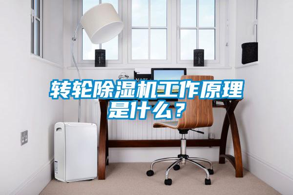 轉輪除濕機工作原理是什么？