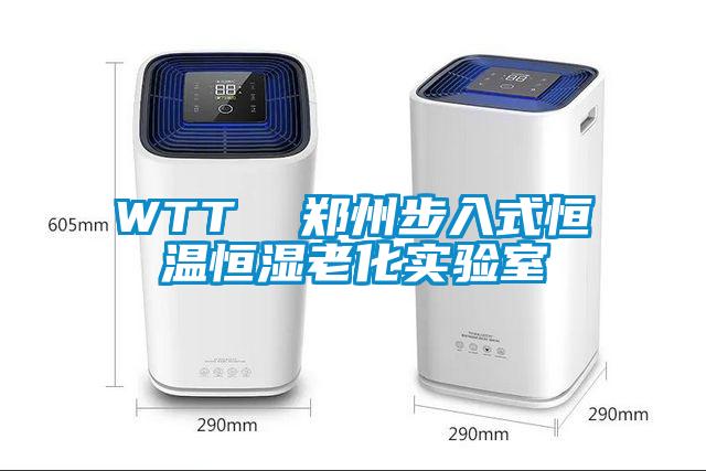 WTT 鄭州步入式恒溫恒濕老化實(shí)驗(yàn)室