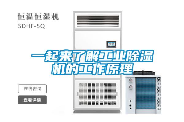 一起來了解工業(yè)除濕機(jī)的工作原理