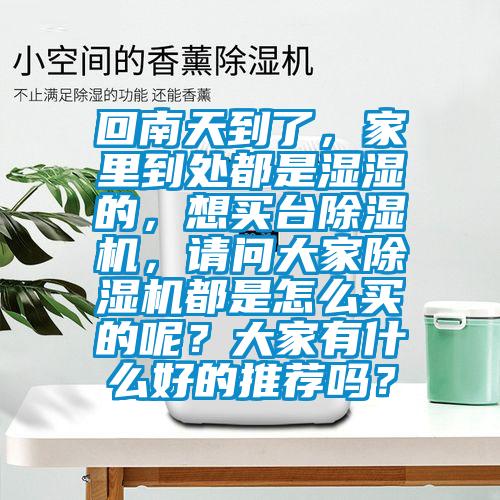 回南天到了，家里到處都是濕濕的，想買臺除濕機，請問大家除濕機都是怎么買的呢？大家有什么好的推薦嗎？