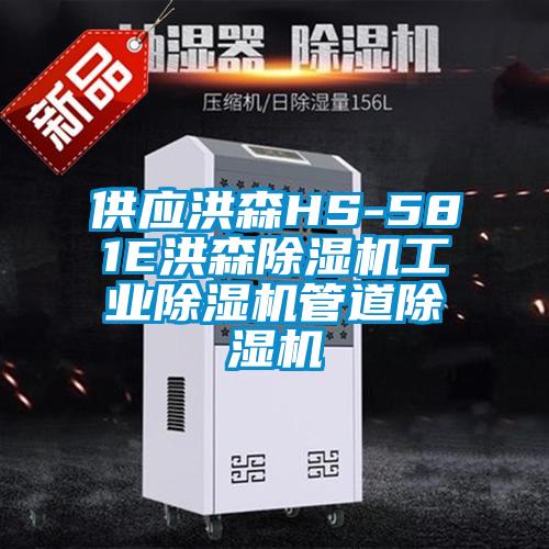 供應(yīng)洪森HS-581E洪森除濕機工業(yè)除濕機管道除濕機