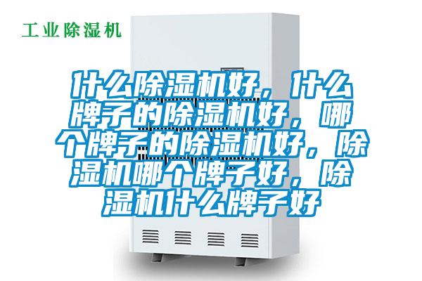 什么除濕機(jī)好，什么牌子的除濕機(jī)好，哪個(gè)牌子的除濕機(jī)好，除濕機(jī)哪個(gè)牌子好，除濕機(jī)什么牌子好