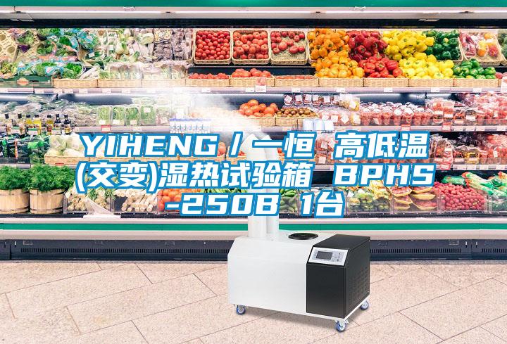 YIHENG/一恒 高低溫(交變)濕熱試驗(yàn)箱 BPHS-250B 1臺(tái)