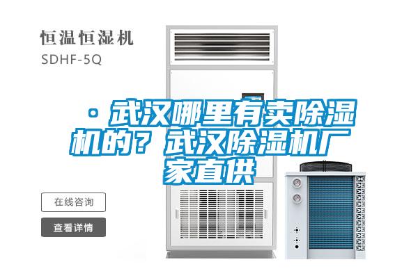 ·武漢哪里有賣除濕機(jī)的？武漢除濕機(jī)廠家直供