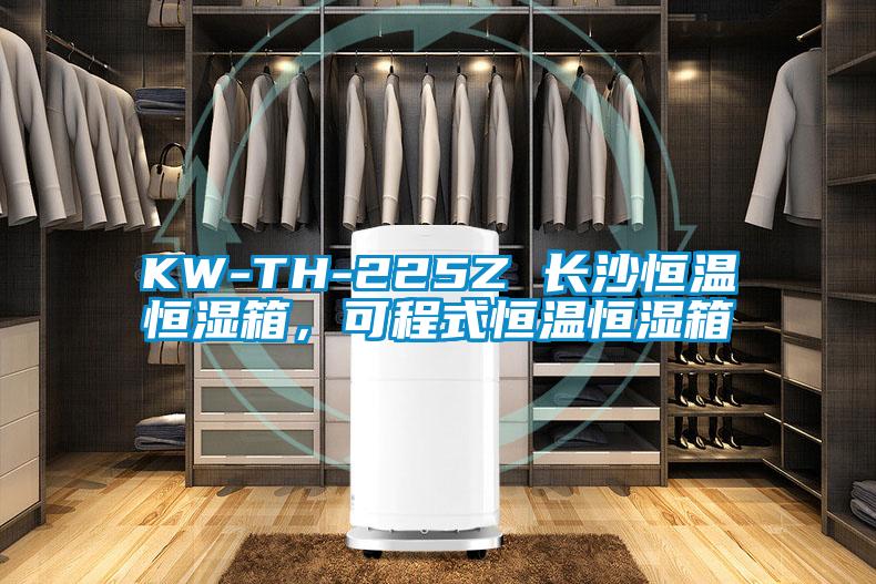 KW-TH-225Z 長(zhǎng)沙恒溫恒濕箱，可程式恒溫恒濕箱