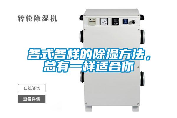 各式各樣的除濕方法，總有一樣適合你