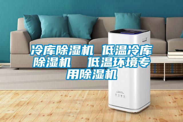 冷庫除濕機 低溫冷庫除濕機  低溫環(huán)境專用除濕機