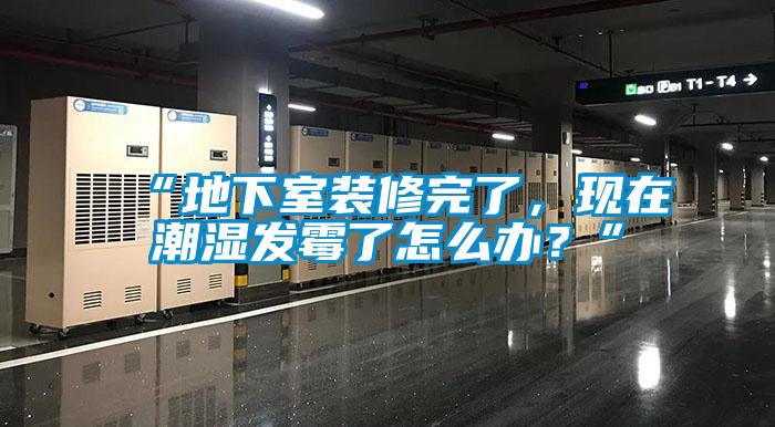 “地下室裝修完了，現(xiàn)在潮濕發(fā)霉了怎么辦？”