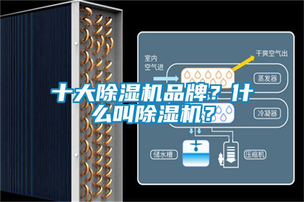 十大除濕機品牌？什么叫除濕機？
