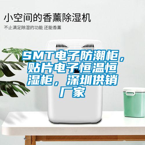 SMT電子防潮柜，貼片電子恒溫恒濕柜，深圳供銷廠家
