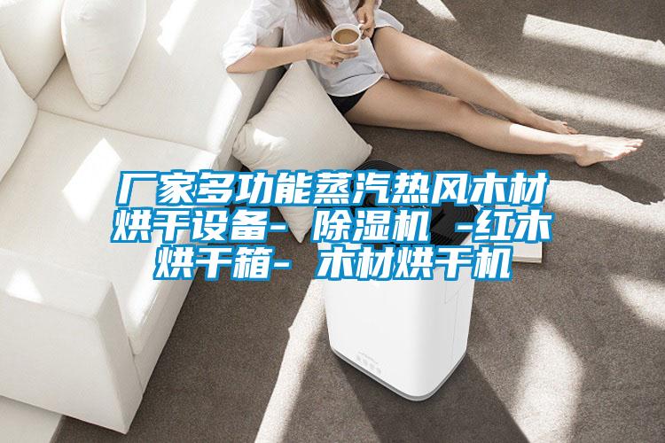廠家多功能蒸汽熱風(fēng)木材烘干設(shè)備- 除濕機 -紅木烘干箱- 木材烘干機