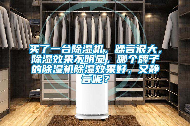 買了一臺除濕機，噪音很大，除濕效果不明顯，哪個牌子的除濕機除濕效果好，又靜音呢？