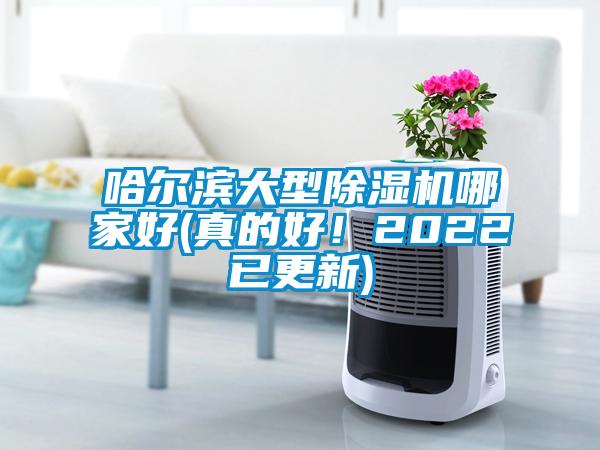 哈爾濱大型除濕機哪家好(真的好！2022已更新)