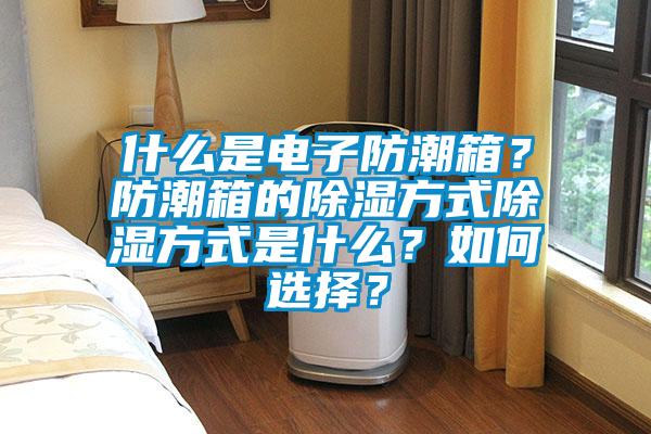 什么是電子防潮箱？防潮箱的除濕方式除濕方式是什么？如何選擇？