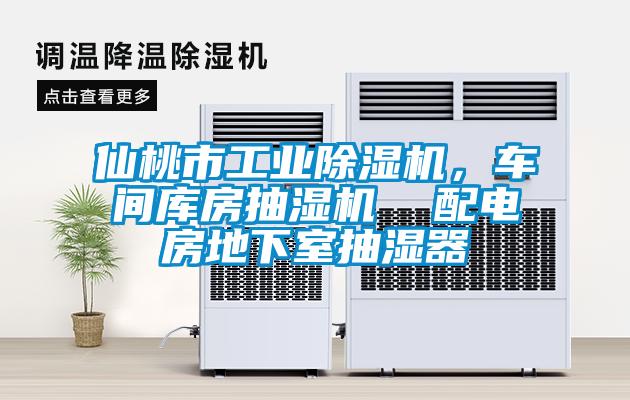 仙桃市工業(yè)除濕機(jī)，車(chē)間庫(kù)房抽濕機(jī)  配電房地下室抽濕器