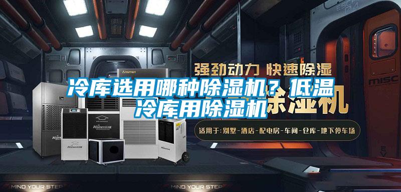 冷庫(kù)選用哪種除濕機(jī)？低溫冷庫(kù)用除濕機(jī)