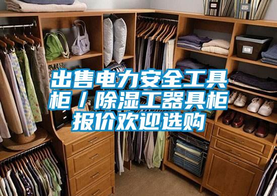 出售電力安全工具柜/除濕工器具柜報(bào)價(jià)歡迎選購