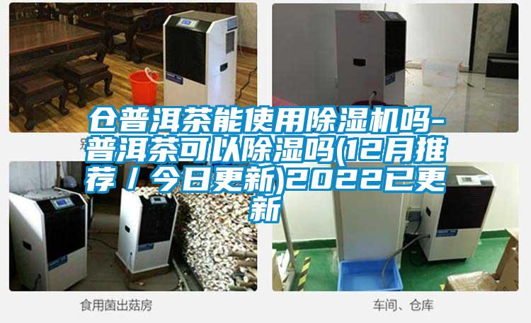 倉普洱茶能使用除濕機(jī)嗎-普洱茶可以除濕嗎(12月推薦/今日更新)2022已更新