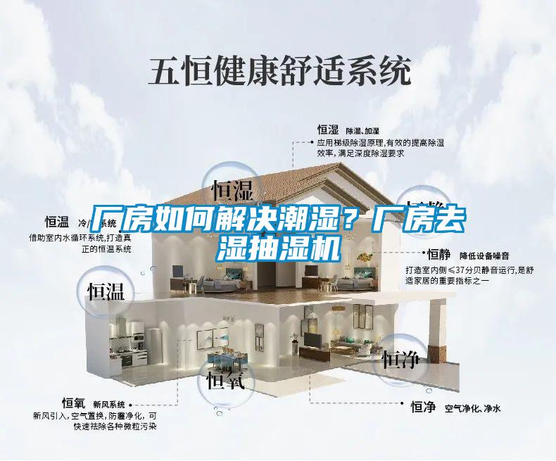 廠房如何解決潮濕？廠房去濕抽濕機(jī)