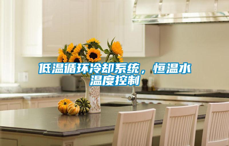 低溫循環(huán)冷卻系統(tǒng)，恒溫水溫度控制