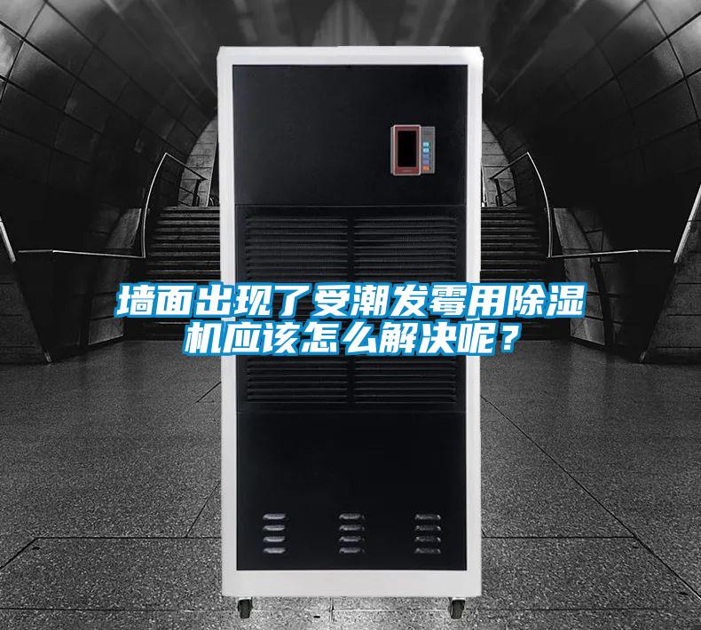墻面出現(xiàn)了受潮發(fā)霉用除濕機應(yīng)該怎么解決呢？