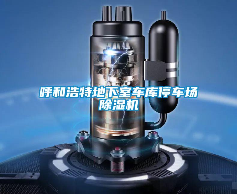 呼和浩特地下室車(chē)庫(kù)停車(chē)場(chǎng)除濕機(jī)