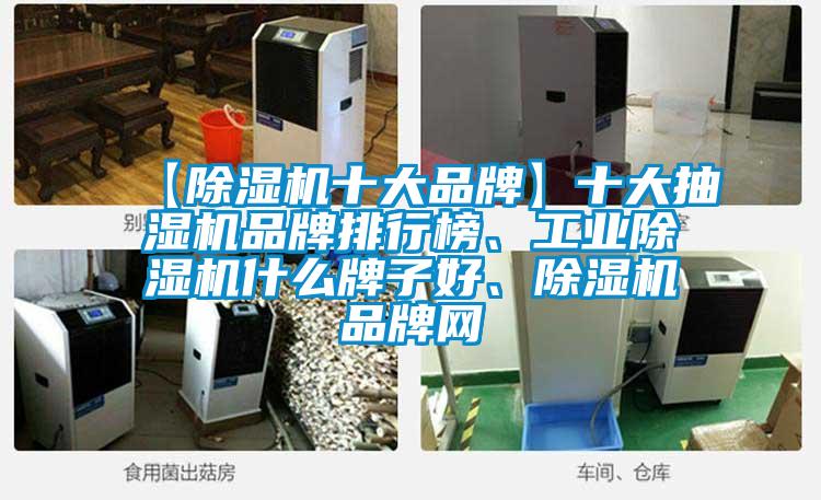 【除濕機(jī)十大品牌】十大抽濕機(jī)品牌排行榜、工業(yè)除濕機(jī)什么牌子好、除濕機(jī)品牌網(wǎng)