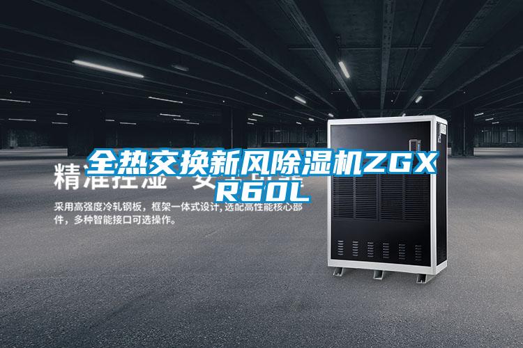 全熱交換新風(fēng)除濕機(jī)ZGXR60L