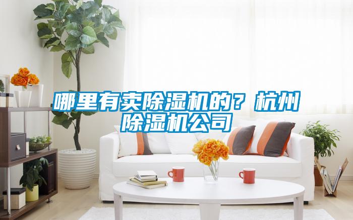 哪里有賣除濕機(jī)的？杭州除濕機(jī)公司