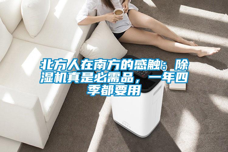 北方人在南方的感觸：除濕機(jī)真是必需品，一年四季都要用