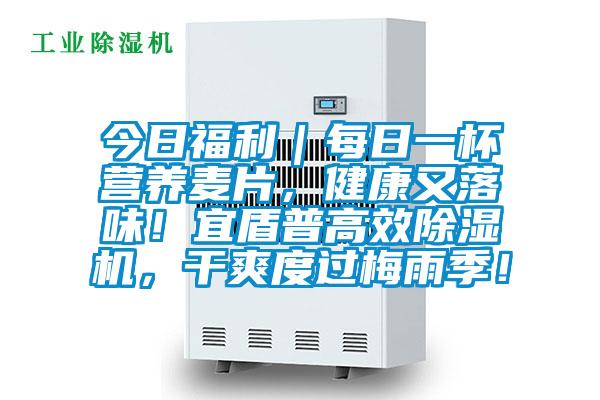 今日福利｜每日一杯營(yíng)養(yǎng)麥片，健康又落味！宜盾普高效除濕機(jī)，干爽度過(guò)梅雨季！